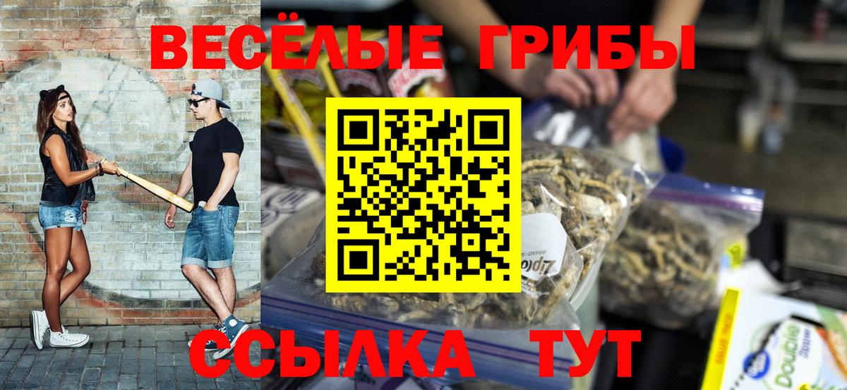 купить наркотик  Псилоцибиновые грибы Cubensis  Саратов  Вход с VPN  Галлюциногенные грибы Psilocybe 