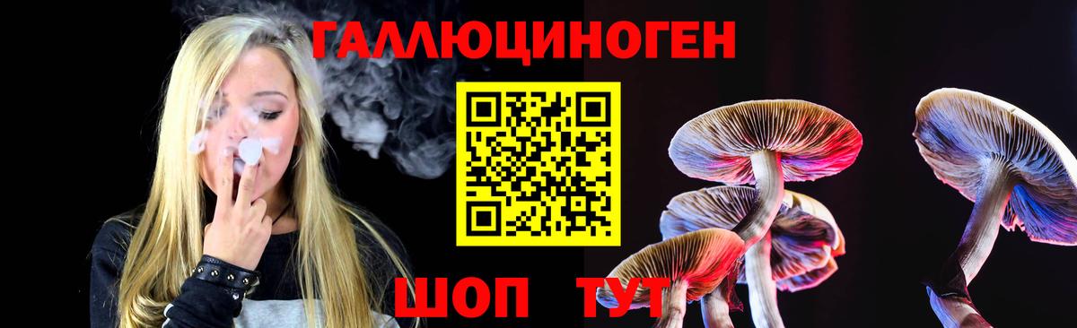 Галлюциногенные грибы Psilocybe Саратов